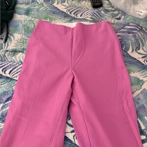 A New Day Fuchsia Pants